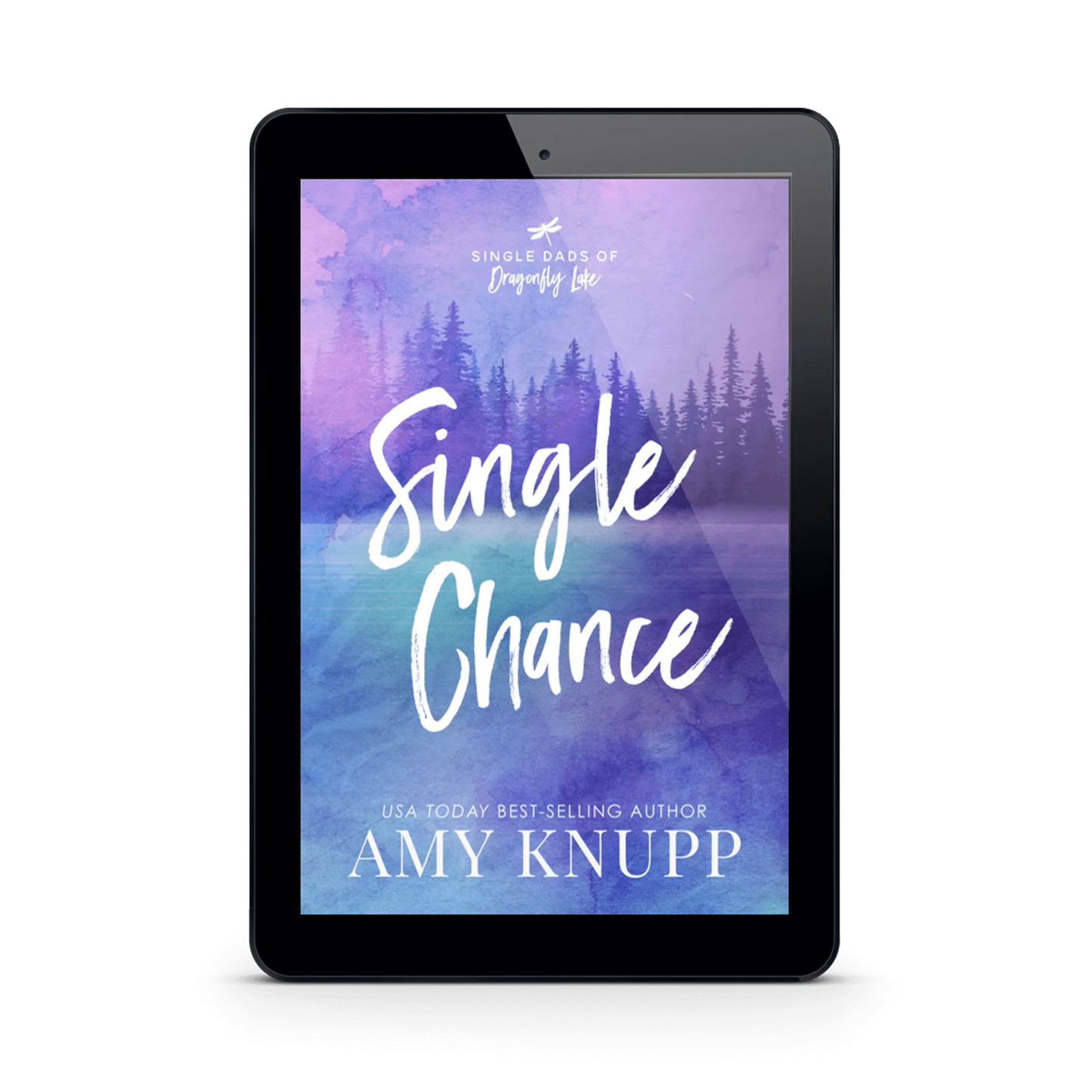 Single Chance (ebook)