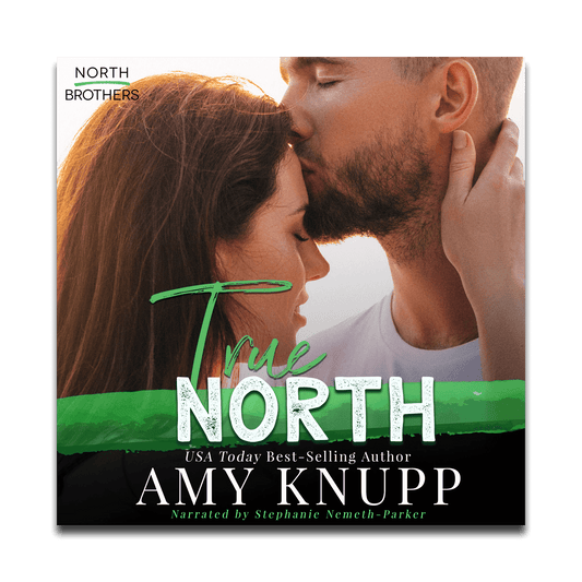 True North (audiobook)